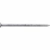 Hillman Common Nail, 4 in L, 20D, Steel, Galvanized Finish 461473